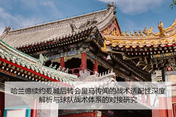 ha-lan-de-xu-yue-man-cheng-hou-zhuan-hui-huang-ma-chuan-wen-de-zhan-shu-shi-pei-xing-shen-du-jie-xi-yu-qiu-dui-zhan-shu-2-375.jpg
